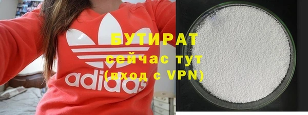 PSILOCYBIN Тында