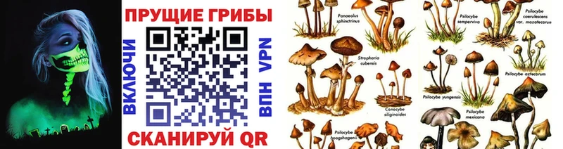 Галлюциногенные грибы мицелий Ступино