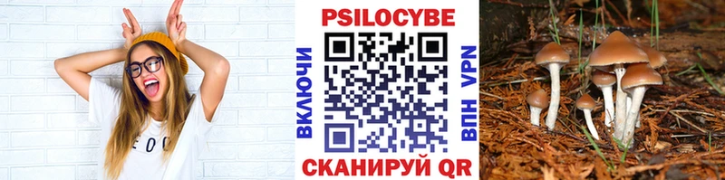 Галлюциногенные грибы мухоморы  закладки  Ступино 