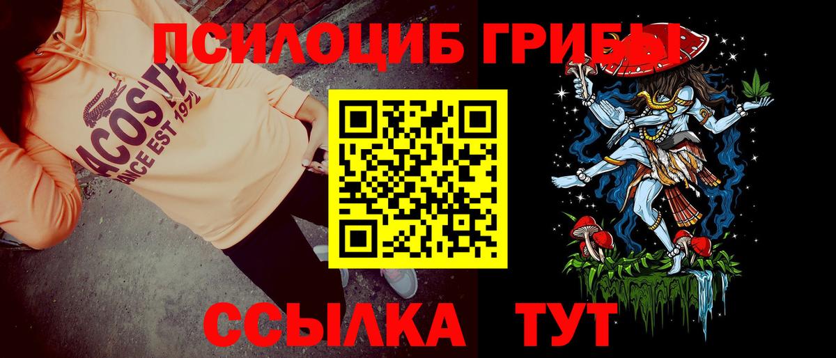 Галлюциногенные грибы Psilocybe Ступино