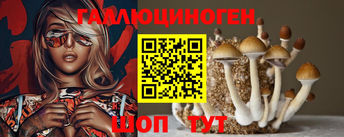 купить наркотик  Псилоцибиновые грибы Psilocybe  Вход с VPN  Ступино 